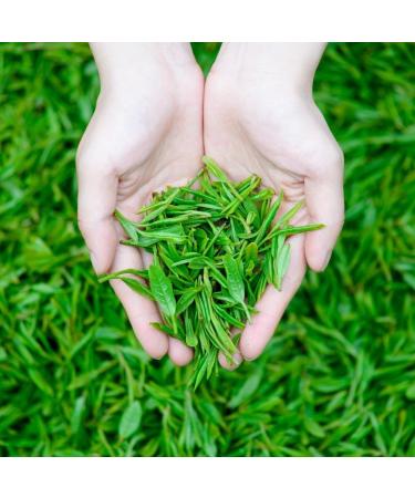 HQZM 357g Yunnan Menghai Ancient Tea Garden Ancient Tree Pu Erh Raw Tea Ancient Flavor Tea Treasure - Buy Online on GoSupps.com