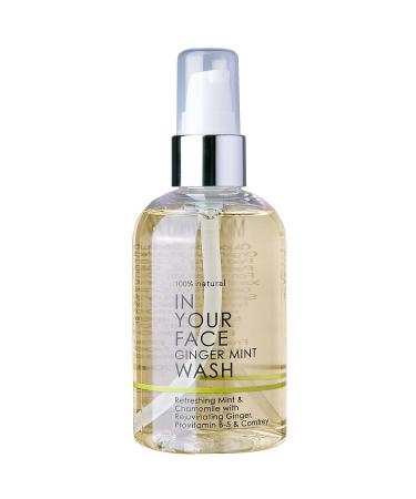 In Your Face Ginger Mint Wash Gentle Organic Face Wash with Ginger Mint & Chamomile pH-Balanced Facial Cleanser for Oily Skin Breakouts & Pores Natural Cleanser for All Skin Types 4 oz