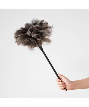2Pack Feather Duster Ostrich Duster with Long Handle Brush Electrostatic Dust Household Cleaning Accessories Cleaning Long Handle Cleaning Brushes for Household Use - Buy Online on GoSupps.com