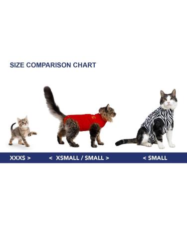 MPS Medical Pet Shirt for Cats - Stylish Zebra Print XXS Size Ideal for Post-Surgery Recovery International Shipping Available - Buy Online on GoSupps.com