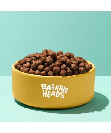Barking Heads Complete Dry Dog Food 12kg - Adult All Hounder Bowl Lickin' Goodness Lamb - Natural Everyday Immunity & Vitality - Vet Approved Lamb 12 kg (Pack of 1) - Buy Online on GoSupps.com
