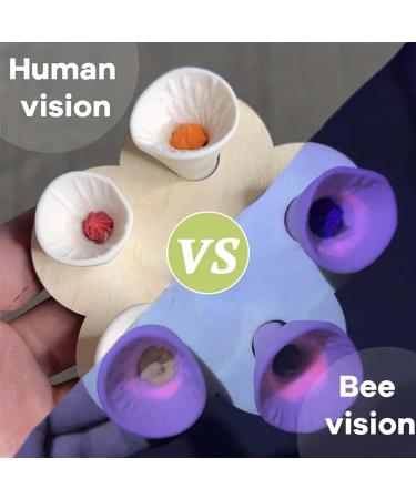 Colorful Bee Insect Drinking Cup Bee Insect Drinking Cup Thirsty Pollinators Need a Drink Bee Cups for Thirsty Bees Garden Bees Need Safe Places to Drink for Garden Decor (Yellow  - Buy Online on GoSupps.com