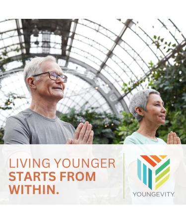 Youngevity Ocutiv - Eye Vitamin & Mineral Supplement - Contains Vitamin A C E Zinc Bilberry Lutein Lycopene Zeaxanthin Astaxanthin - 30 Capsules 30 Count (Pack of 1) - Buy Online on GoSupps.com