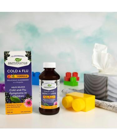 Nature's Way Kids Sambucus Cold and Flu Care Elderberry Syrup with Echinacea and Propolis - Used in Herbal Medicine to Help Relieve Symptoms (Coughs and Sore Throats) in Children 120 ml 120 ml (Pack of 1) - Buy Online on GoSupps.com