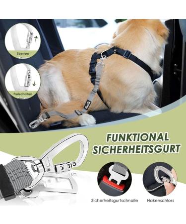 Slowton Dog Harness with Seat Belt - Breathable Adjustable Safety Harness & Car Seat Belt for Dogs | Gray Size S - Buy Online on GoSupps.com