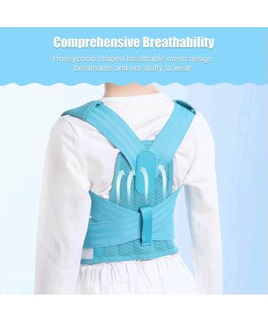 Back Posture Corrector Brace Back Shoulder Support Belt Posture Correction Belt for Belt Health Care Type B Blue M - Buy Online on GoSupps.com