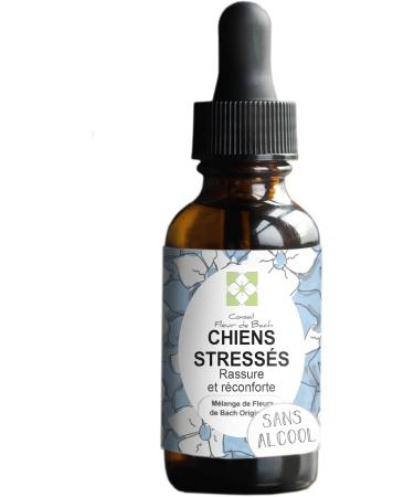 Bach Flower Advice - Bach Flower Mix "Stressed Dog" "ALCOHOL-FREE" Quickly comfort your dog. This is a natural anti-stress for his daily life - Fl 30 ml - Buy Online on GoSupps.com
