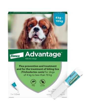 Advantage 100 Flea Spot On Treatment For Dogs 1 Pipette 1.0ml 4-10kg - Buy Online on GoSupps.com