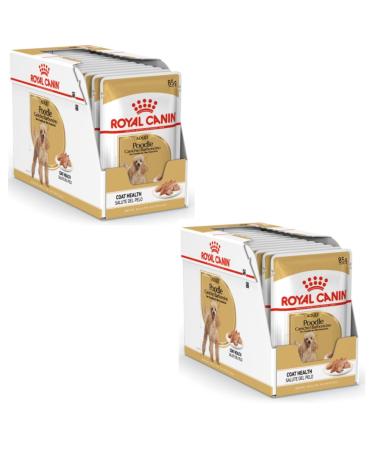 Royal Canin Poodle Adult | Double Pack | 2 x 12 x 85 g | Wet food for adult poodles | To support the coat | Optimal daily nutrition | From the 10th month of life