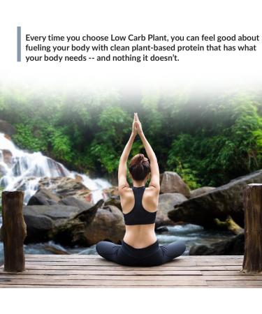 BioTrust Low Carb Plant Protein - Delicious Chocolate 20g Complete Vegan Protein 5g Fiber 15 Superfoods Dairy-Free 14 Servings - Buy Online on GoSupps.com