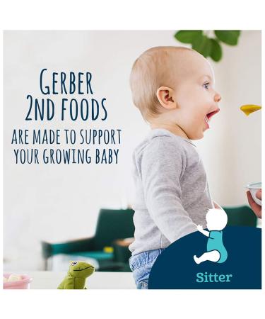 Gerber Pumpkin 2nd Foods - 2 Pack (4 oz Each) | Healthy Baby Food - Buy Online on GoSupps.com