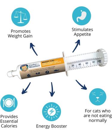Under the Weather Ready Cal for Cats & Dogs | High Calorie Nutritional Supplement | 9 Vitamins 7 Minerals Fatty Acids | Promotes Weight Gain & Appetite | 100cc - Buy Online on GoSupps.com