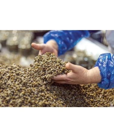 Alma Gourmet Sicilian Capers in Sea Salt Imported from Italy |1.1 Pound (500g) - Buy Online on GoSupps.com