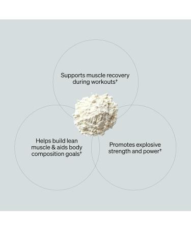 ONNIT Creatine Monohydrate Powder Unflavored 90-Serving Value Size Supports Strength Lean Muscle and Brain Energy Keto Friendly No Fillers 90 Servings 5.29 oz 90 Count - Buy Online on GoSupps.com