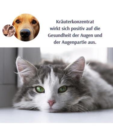 Topvet Cat Eye Cleaner | Natural Allergy Relief with Boric Acid & Herbal Extracts | 50ml - Buy Online on GoSupps.com