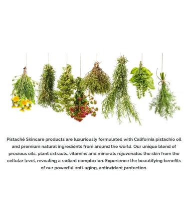 Pistach Skincare Pistachio Oil Bliss Scent Set + Perfume Eau de Parfum + 5-Pc Mini Collection (Travel)+ Hydrates and Nourishes + Vitamin E + Antioxidant Protection - Buy Online on GoSupps.com