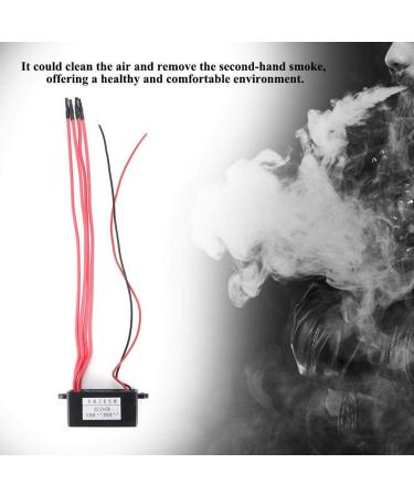 Home Anion Negative Ion Generator Module Portable Air Ionizer Air Purifier 4 Negative Line(DC12V) - Buy Online on GoSupps.com