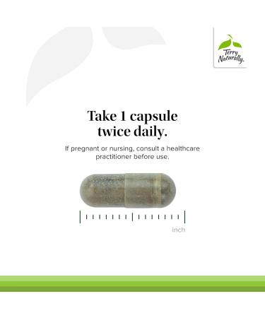 Terry Naturally Andrographis EP80 with Umckaloabo - Sinus Health Support - Supplement to Support Mucus Relief & Respiratory Function - Vegan Capsules to Aid Immune Health - 60 Capsules (60 Servings) - Buy Online on GoSupps.com