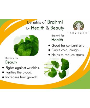 Centella Asiatica Powder 100g - Gotu Kola Brahmi Mandupakarni | Non-GMO Gluten Free Vegan | Premium Quality for Wellness - Buy Online on GoSupps.com