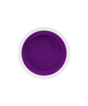 UV LED Color Gel - Classic Plum Purple - Studio Quality - Made in Germany - 5ml - Ideal for Nail Art & Manicure - Buy Online on GoSupps.com