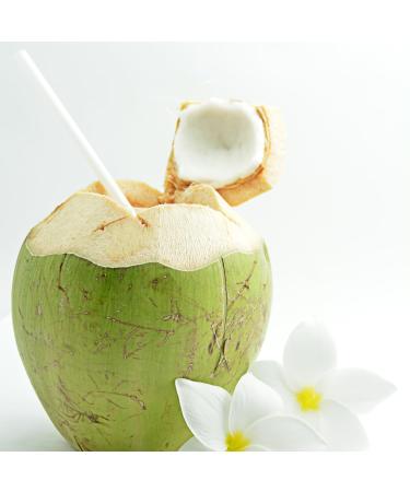 YESHU Coconut Drink Can - Refreshing 245 ML Beverage | Buy Internationally Online - Buy Online on GoSupps.com
