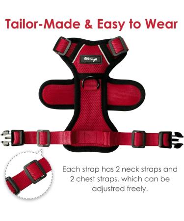 Breakproof Cat Dishes & Adjustable Soft Vest Set for Small Kittens | Reflective Stripes | Red XXS - Buy Online on GoSupps.com