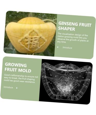 CIYODO Fruits Mold Square Mold Pumpkin Mold Clear Fruit Plastic Fruit Small Growing Mold Ginseng Watermelon Plant - Buy Online on GoSupps.com