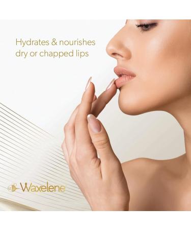 Shop Waxelene Lavender Aerated Lip Balm Tin - 4 Piece | Nourishing Moisture for Lips - International Shipping Available - Buy Online on GoSupps.com