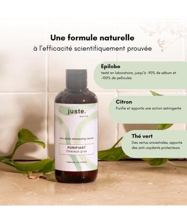 No. 1 Natural Shampoo for Oily Hair - Purifying Shampoo - 250 ml - Anti-Dandruff Shampoo - Regulates Excess Sebum - Hydration without Greasing - Sulfate-Free Shampoo - Made in France - Buy Online on GoSupps.com