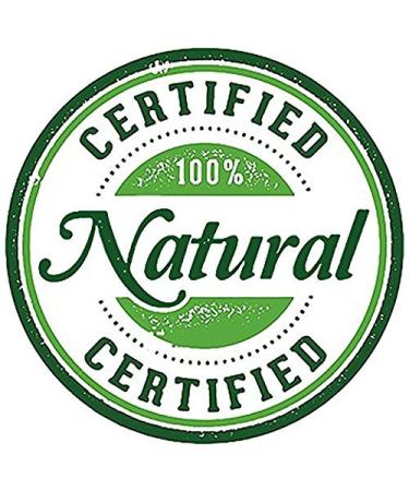 Organic Vegan Coconut Charcoal Toothpaste for Healthy Gums & Pearly Whites - Made in USA - Buy Online on GoSupps.com