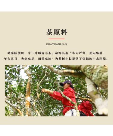Pu-erh tea 2020 Keyixing Take a bite 357g Cooked - Buy Online on GoSupps.com