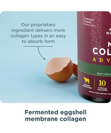 Ancient Nutrition Advanced Hydrolyzed Collagen Peptides Powder Protein Lean with Probiotics and Vitamin C Cinnamon for Women & Men Supports Healthy Weight Management & Muscle Building 25 Servings - Buy Online on GoSupps.com