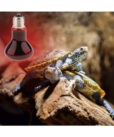 Tenlacum 40/50/60/75/100W Infrared Basking Spot Lamp Single Max Heat Reptile Red Bulb Light (40W) - Buy Online on GoSupps.com