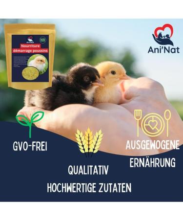 Aninat Chick Food 3.8kg | Vitamin & Protein-Rich Starter | Antibiotic-Free & Non-GMO - Ideal for Newborn Chicks - Buy Online on GoSupps.com
