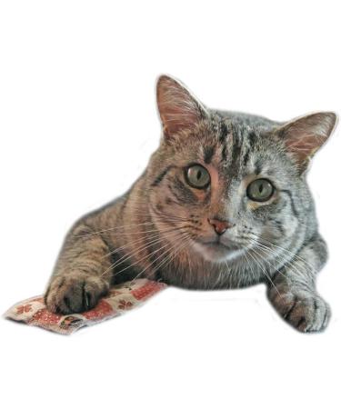 Joli Moulin Premium Cat Mint Toys - Eco-Friendly Catnip Cuddle Scent Pillows | Oeko-Tex 100 | 5 Pieces for Happy Cats - Buy Online on GoSupps.com