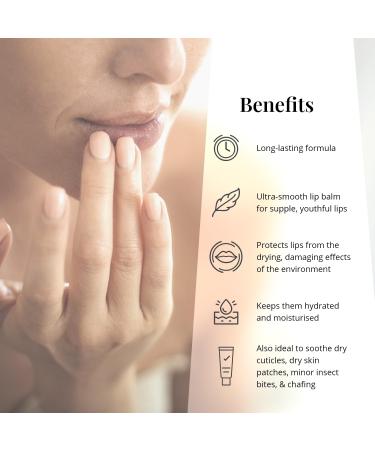 Jomila Original Lip Balm - Nourishing Lip Care for Dry & Cracked Lips with Australian Lanolin | 15g | Unisex - Buy Online on GoSupps.com