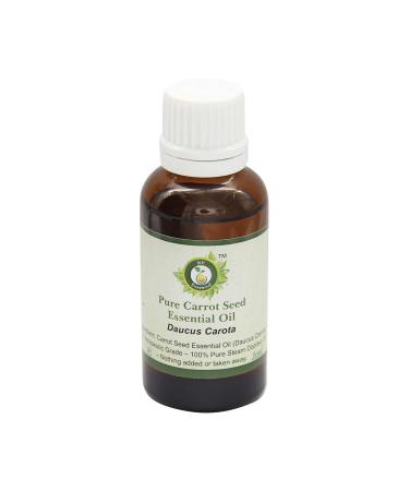 R V Essential Pure Carrot Seed Essential Oil 100ml (3.38oz)- Daucus Carota (100% Pure and Natural Therapeutic Grade)