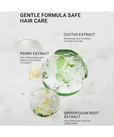 120ml Hair Leave-In Volumizing Styling Spray Volume Up Hair Styling Powder High Cranial Fluffing Spray Universal Fluffy Hair Powder Refreshing Remove Oil Modeling Men Women (2Pcs) 1 Ounce (Pack of 1) - Buy Online on GoSupps.com