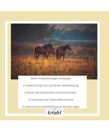 Kr pfel Elektrolyt Liquid Plus 1000 ml | Mineral Feed & Liquid Nutritional Supplements for Sports Horses & Ponies | Supplementary Feed for Racing Horses - Buy Online on GoSupps.com