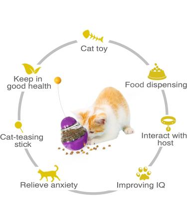 Interactive Cat Teaser Toy - Perfect Indoor Kitten Toy and Birthday Gift - Buy Online on GoSupps.com
