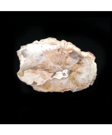 Natural Crystal Rough 87g A6-6sun Natural Stone Wood Crystal Specimen Home Decoration from Madagascar Home Decoration ERTEYIN