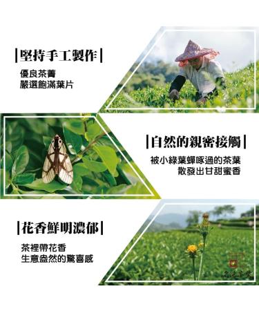 Taiwan unique tea Chin-Shin-Oolong Hand-picked fragrant Alishan cold tea leaves 150g*6 - Buy Online on GoSupps.com