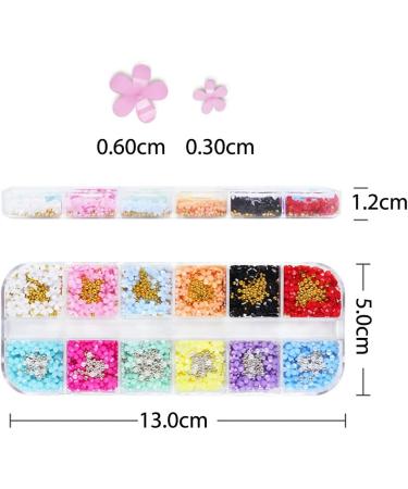 Dornail 12-Grid 3D Flower Nail Charms - 12 Colors Acrylic Flower Nail Art Accessories for DIY Designs & Decorations - Buy Online on GoSupps.com