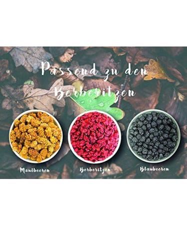  1001 Frucht 1001 Frucht Naturally Dried Freshness - Refreshing strawberries from Germany without additives - Delicious unsweetened dried fruity strawberries - 500g - Buy Online on GoSupps.com