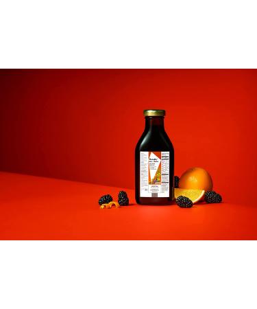 Flora Floradix Iron + Herbs Liquid Supplement 17 fl oz - Boost Energy & Iron Levels - Buy Online on GoSupps.com