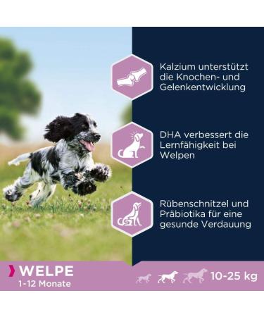 Eukanuba Puppy Food with Fresh Chicken Premium Dry Food for Medium Breeds | 15 kg - Ideal for Junior Dogs - Buy Online on GoSupps.com