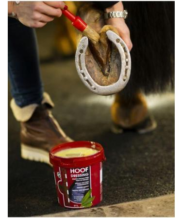  Kevin Bacon's Kevin Bacon Blond Ointment 5 l - Buy Online on GoSupps.com