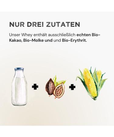  Harvest Republic HARVEST REPUBLIC Organic Whey Protein Powder with Chocolate Flavor | No Added Sugar | 350g Organic Whey Protein Powder | Whey Protein for Muscle Development | - Buy Online on GoSupps.com
