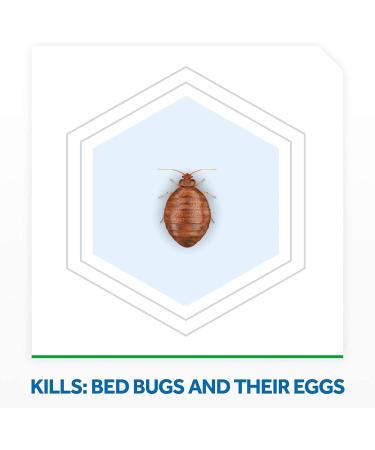 Raid Bed Bug Foaming Spray 16.5oz - Indoor Use - Non-Staining - Pack of 6 - Buy Online on GoSupps.com
