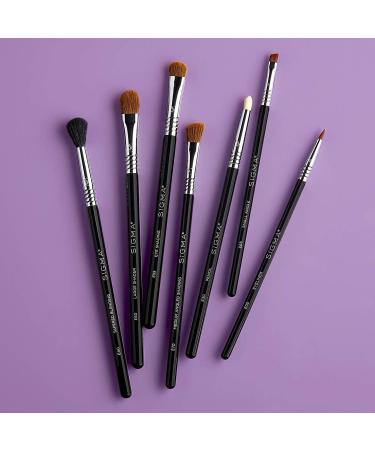Sigma Basic Eye Brush Set - 7 Essential Makeup Brushes for Flawless Application - Buy Online on GoSupps.com